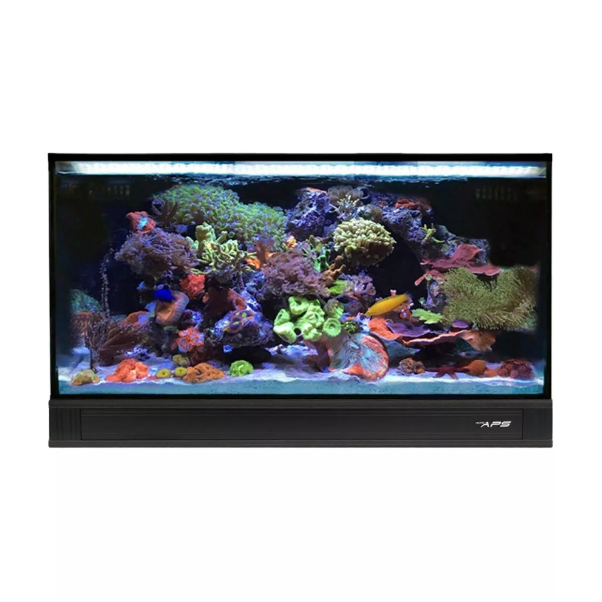 INNOVATIVE MARINE 25 NUVO FUSION PRO 2 AIO LAGOON AQUARIUM w/ BLACK APS PEDESTAL